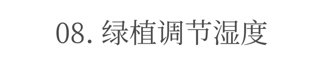 images/20250626/80c856047fb0a8232793d6a7e67bcb2f.png 图片14.png