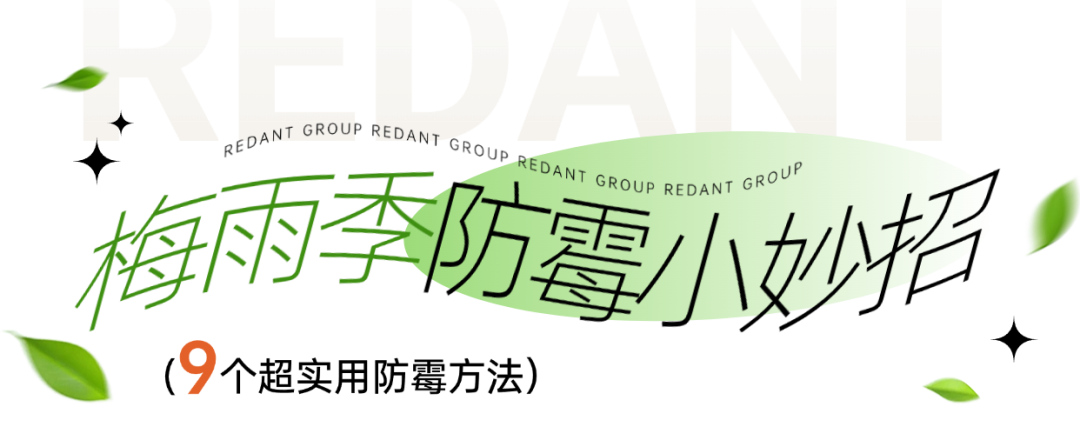 images/20250626/862a91ffe65ce60ea83eab93f471455d.png 图片2.png