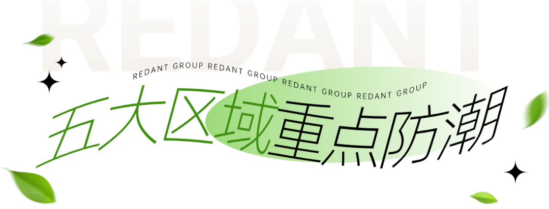 images/20250626/b2fb51bb9127ea73fdfb5b48bc0a5fe2.png 图片17.png